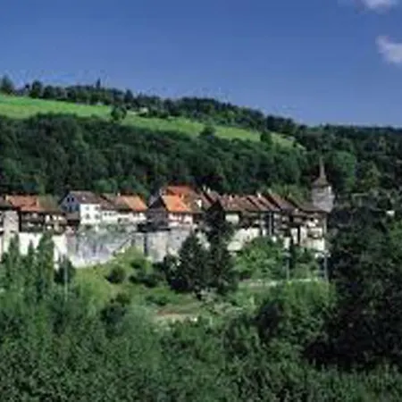 Maison Du Fey * Moudon