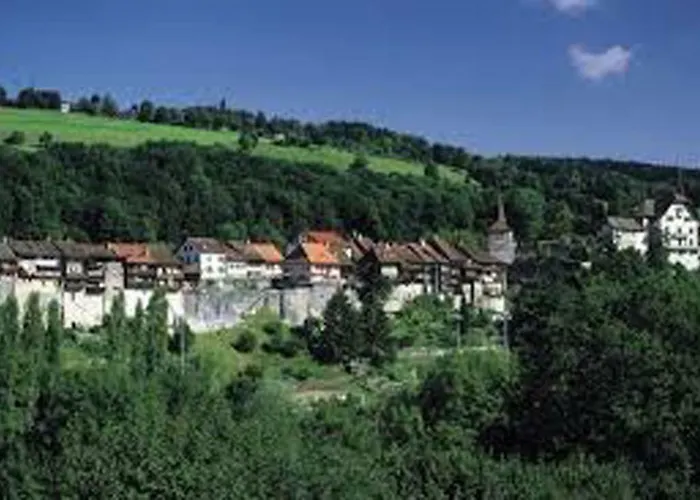 Maison Du Fey * Moudon