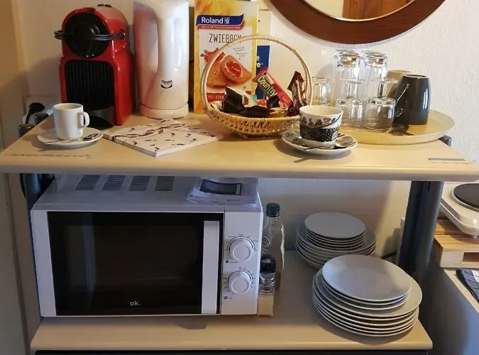 Pensionat Maison Du Fey Moudon